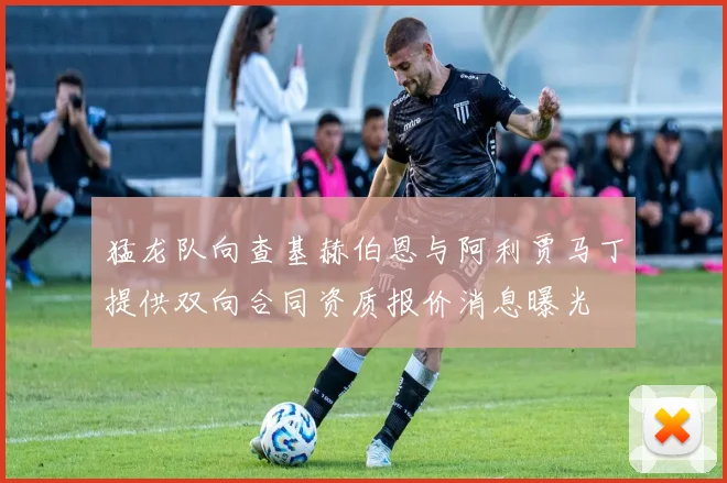 猛龙队向查基赫伯恩与阿利贾马丁提供双向合同资质报价消息曝光