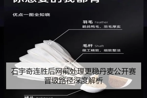 石宇奇连胜后网前处理更稳丹麦公开赛晋级路径深度解析 - kaiyun